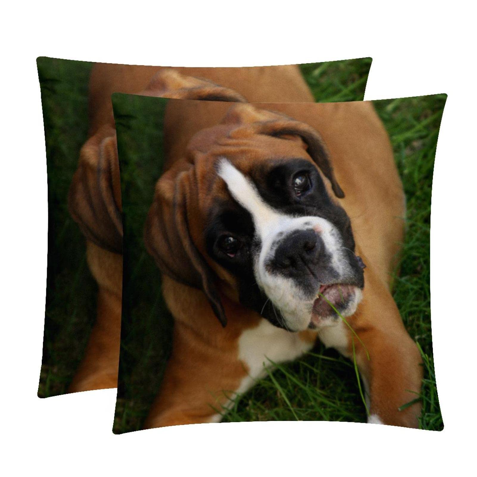 Pillowcases Couch Pillow Covers,boxer dog on the grass,Decorative Pillow Covers Cushion Cover,Throw Pillow Covers