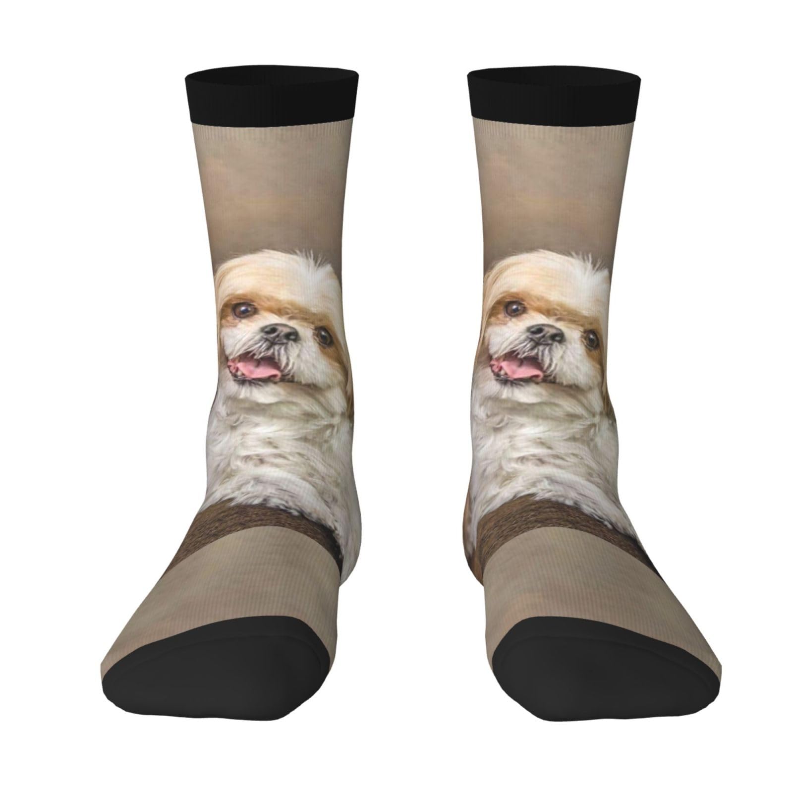 Yofien Unisex 2 Black-1 Cute Shih Tzu Dog,Men's Moisture Wicking Breathable Cusioned Crew Socks For Women