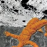 16階調の海 歌詞