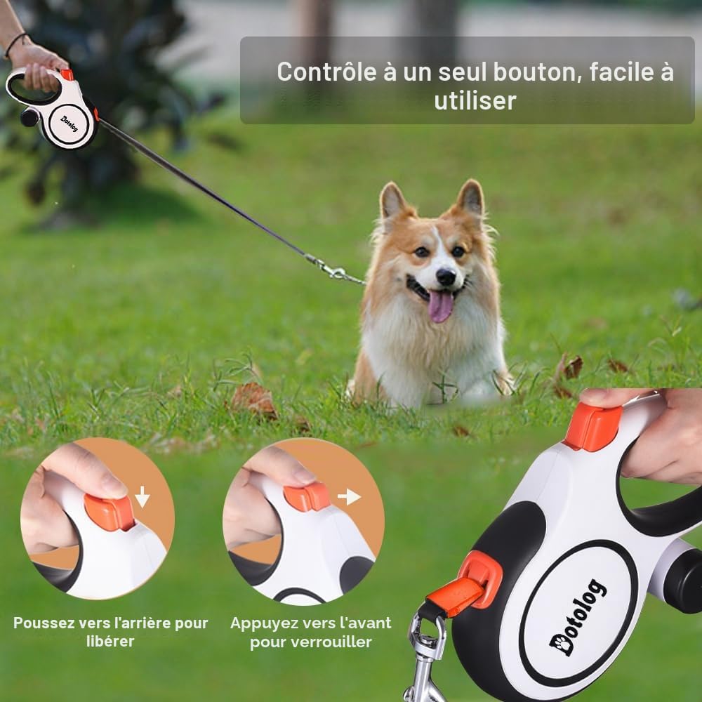 Laisse Chien Rétractable 8 m, Extensible Laisse pour Chiens de Taille Moyenne et Grande (Jusqu'à 50kg), Anti-nœuds, Bande en 26ft Nylon Solide (Blanc,8m)