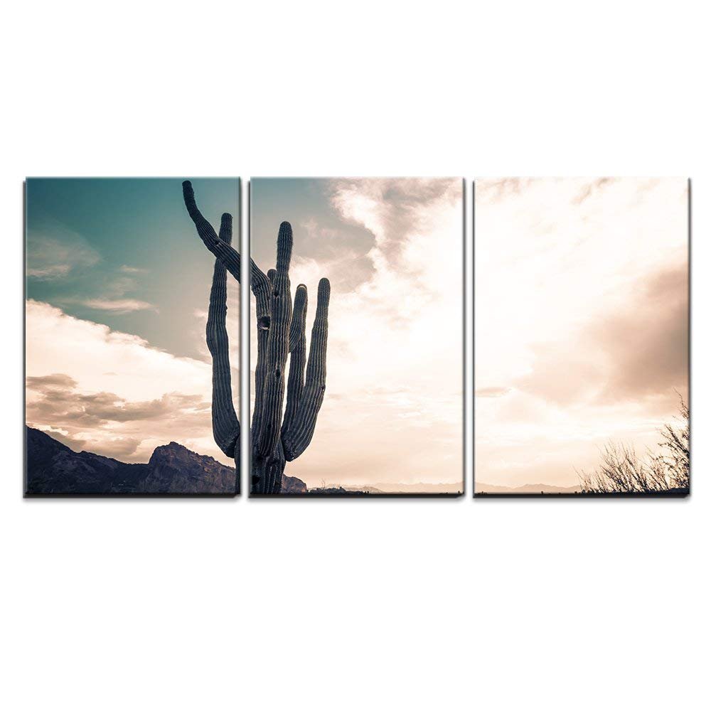 wall263 Piece Canvas Wall Art - Iconic Saguaro Cactus and Camelback MTN Phoenix, AZ - Modern Home Decor Stretched and Framed Ready to Hang - 24"x36"x3 Panels