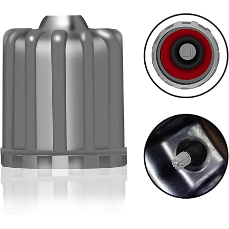 Universal Gray Tire Valve Caps for Metal Valves (20 Pack)