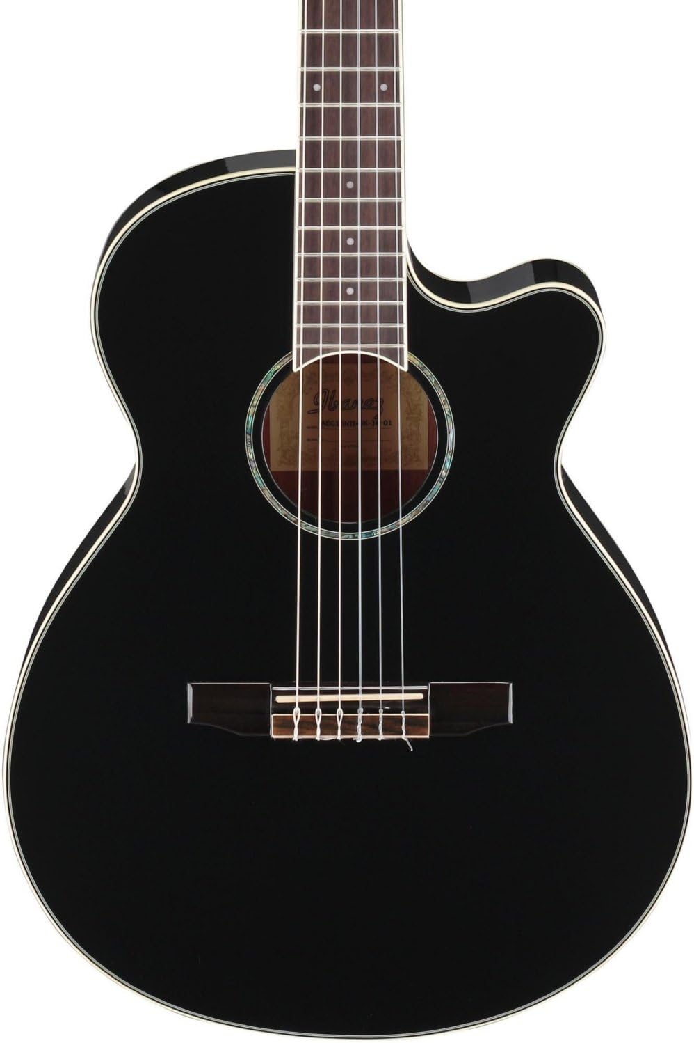 Ibanez Electric-Acoustic Guitar Black