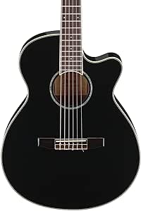 Ibanez AEG10NII Nylon String Acoustic-Electric Guitar (Black)