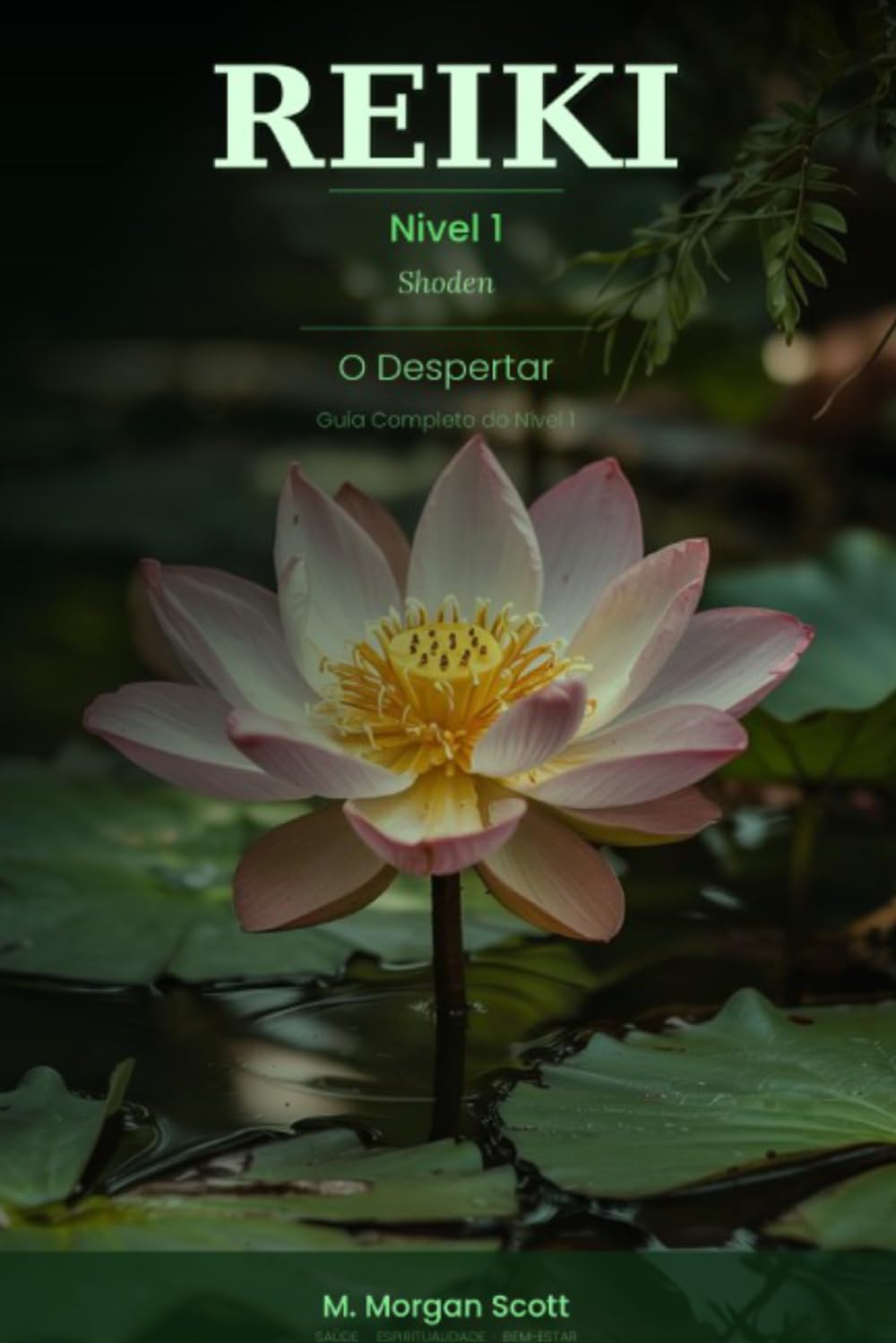 REIKI Shoden O Despertar: Guia Completo do Nível 1 (REIKI COMPLETO DO DESPERTAR À MAESTRIA (SHODEN, OKUDEN E SHINPIDEN))