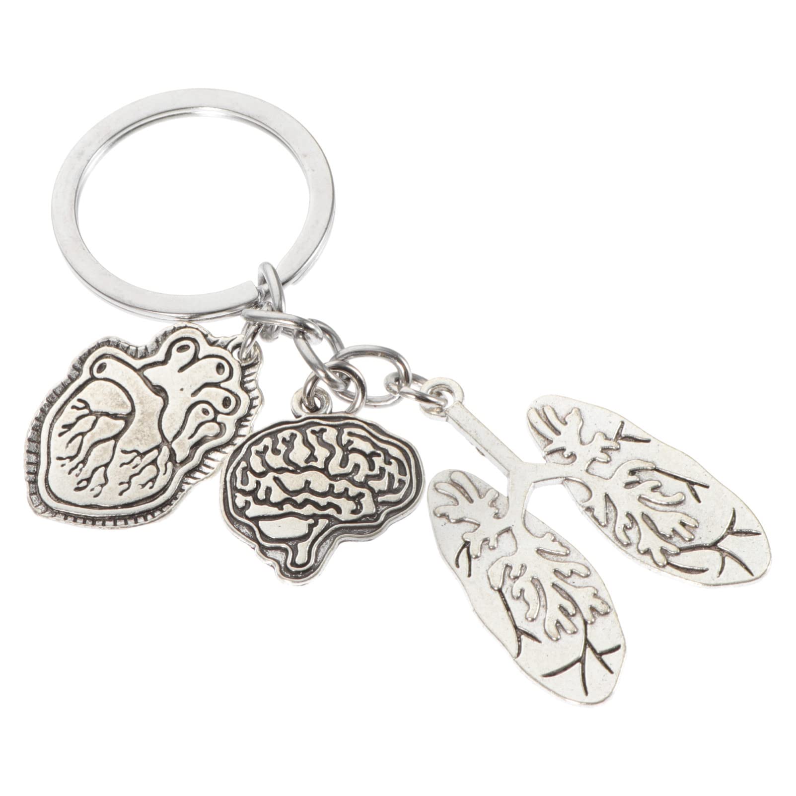 PRETYZOOM Schlüsselanhänger Arzt Geschenk Anatomisches Herz Und Gehirnlappen Anhänger Aus Metall Als Tasche Hängende Dekor Für Schlüsselbund Ring Für Pflegekräfte Und Medizinstudenten