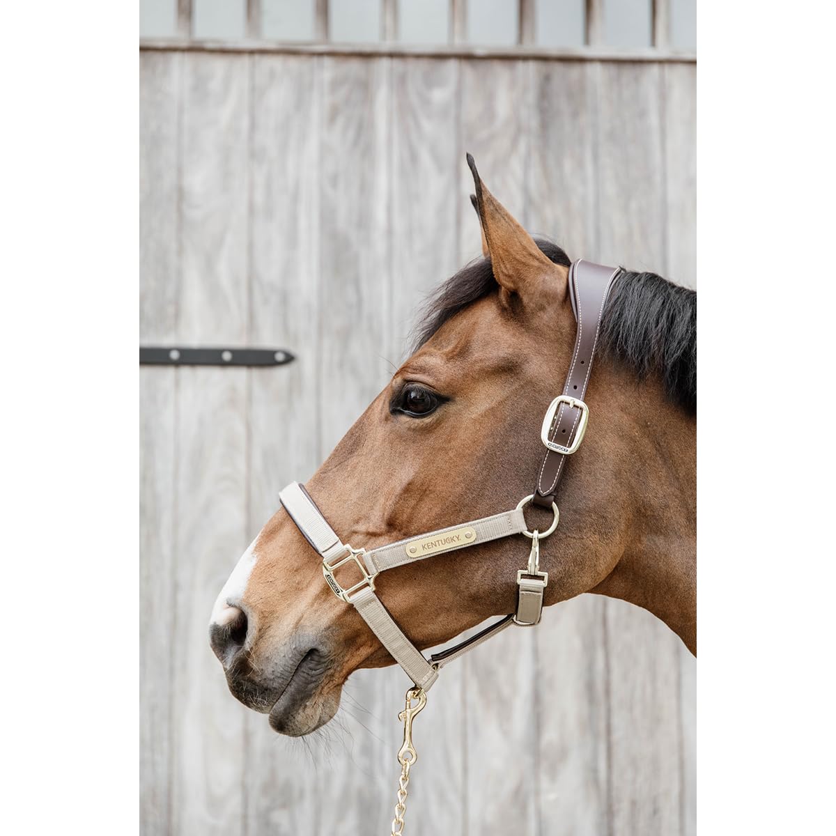Kentucky Licol pour Cheval Anatomique Nylon