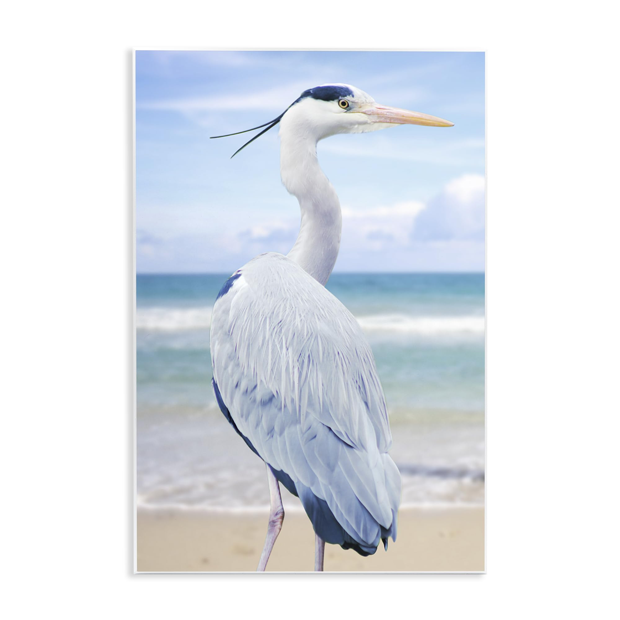 Stupell Industries 'Vacationing Heron by Seaside', Wall Plaque Art, 13 x 19 Inches, Easy to Hang and Sturdy, Made in USA, by Marcus Prime