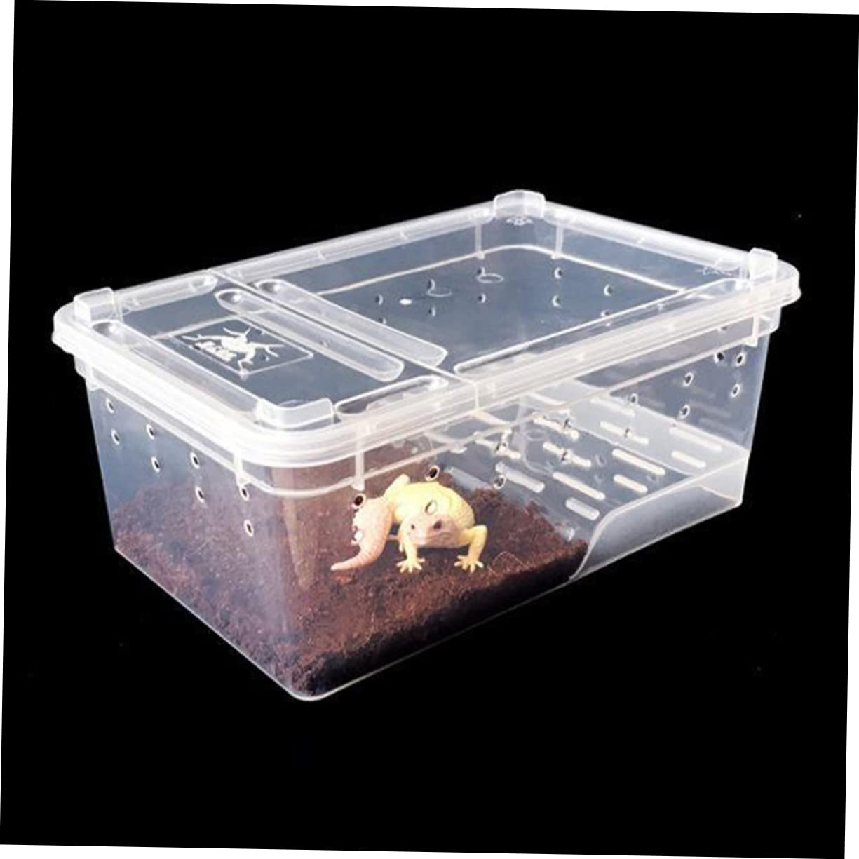 Terrario Rettili con Piattaforma per Tartarughe, Vasca Domestica | Area di Riposo e Alimentazione, Pendenza Adatta, Plastico, per Riabilitazione e Arrampicata Quotidiana