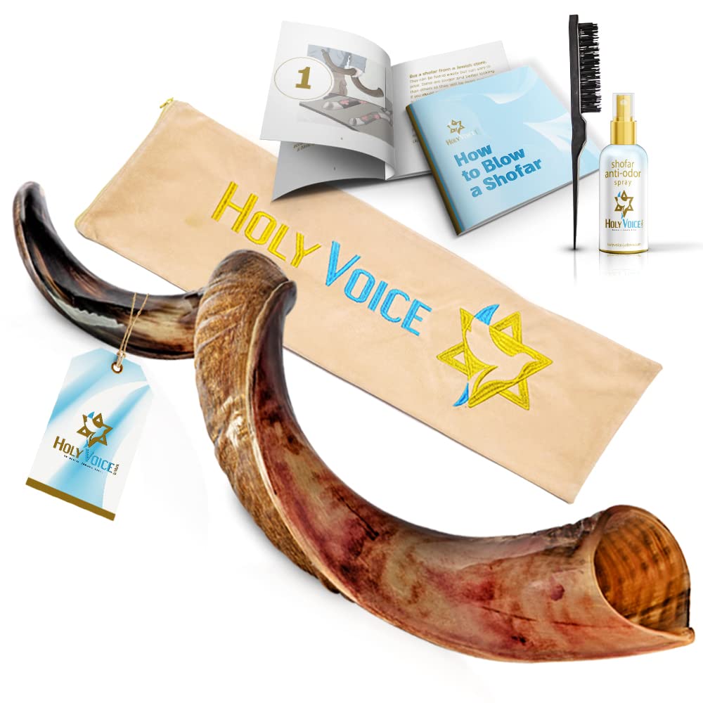 Kosher Kudu Shofar Horn from Israel Traditional Half Polished Yemeni