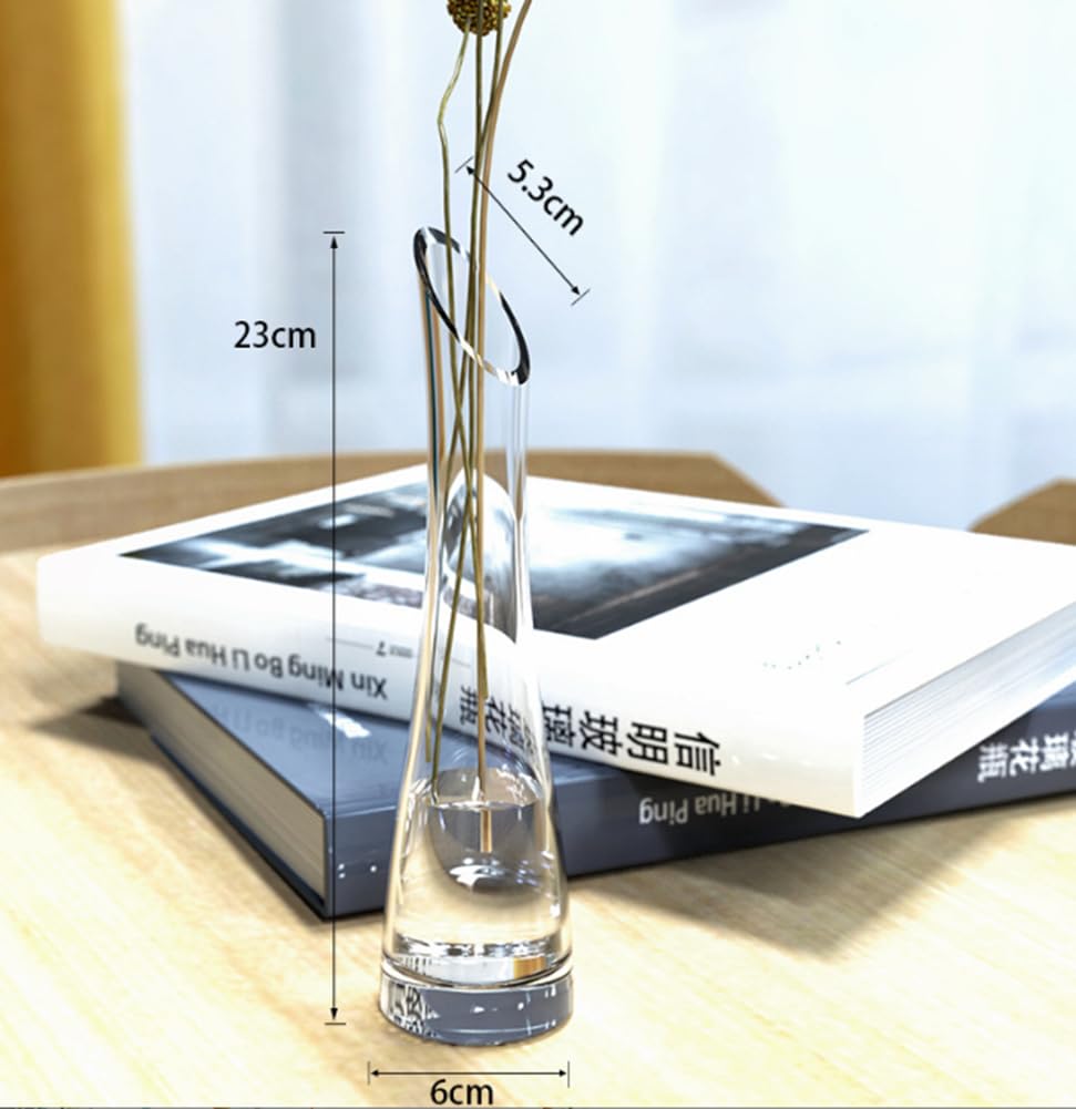 23CM Small Flower Vase Tall Thin Narrow Necked Glass Vases Clear Mini Mouth Single Stem Vases for Decorative Home Decor Living Room Office and Centerpieces - Image 3