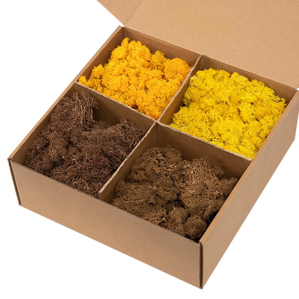 Zencewell Autumn Beam Preserved Reindeer Moss Mix Craft Natural Green Diy Kit Gardening Art Wall Decor Florist Easter Table Decor Wedding Decor (Yellow Mix, 0.88 Lb / 400 G)
