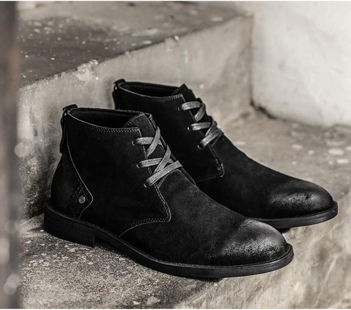 不詳/作者不詳/南天図/扇面/横物/布袋屋掛軸HJ-886