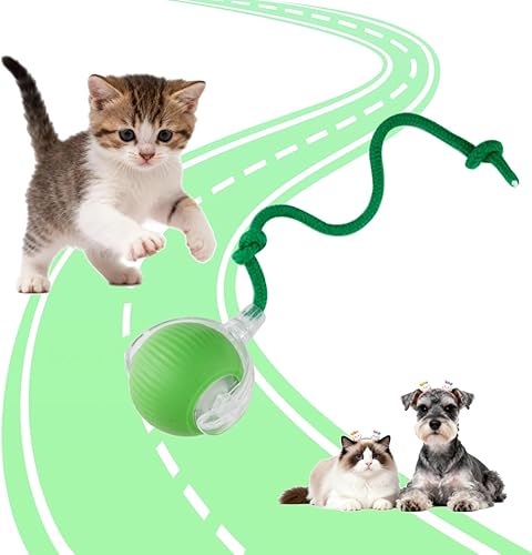 Pelota interactiva de juguetes para gatos de interior, juguetes interactivos rodantes para perros pequeños y gatos, movimiento automático, 360,