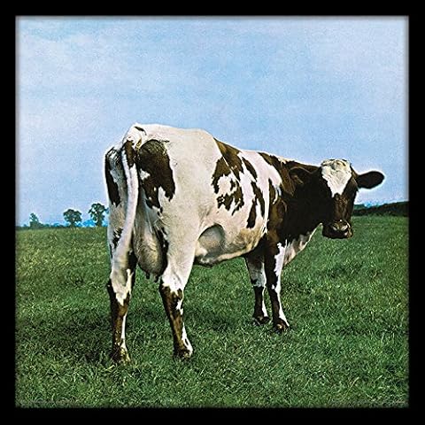 Framed Pink Floyd Atom Heart Mother Print Cover