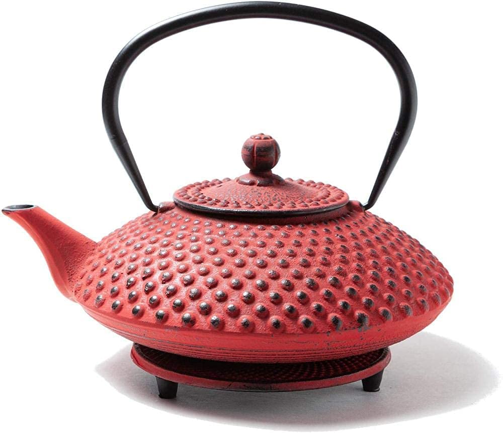Amazon.com: ZXXDSGHUS 1250 Ml Cast Iron Cast Iron Teapot