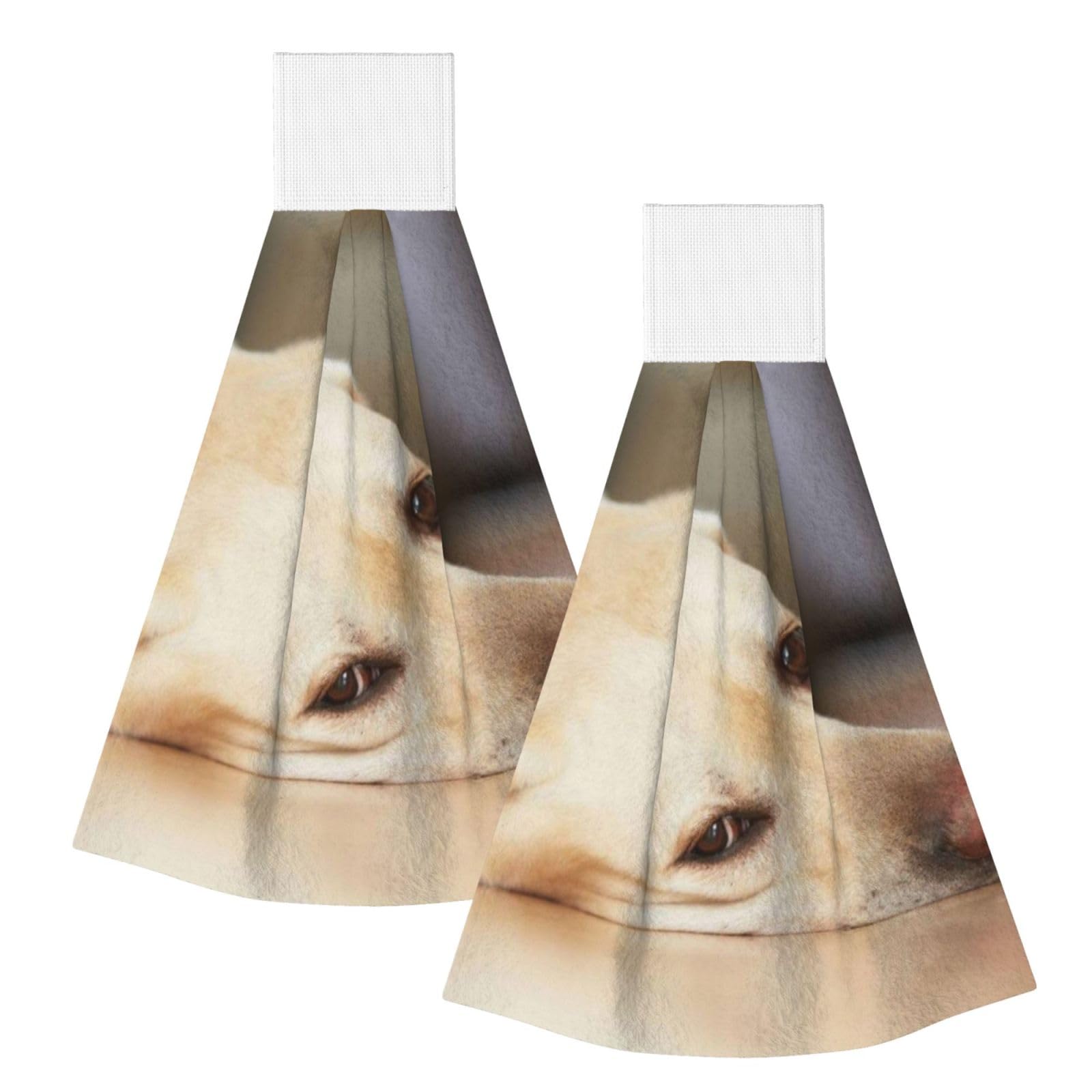 DOPKLNA Yellow Labrador Retriever Print, 2 Pcs Hanging Coral Fiber Hand Towels for Bathroom, Absorbent Kitchen Towels
