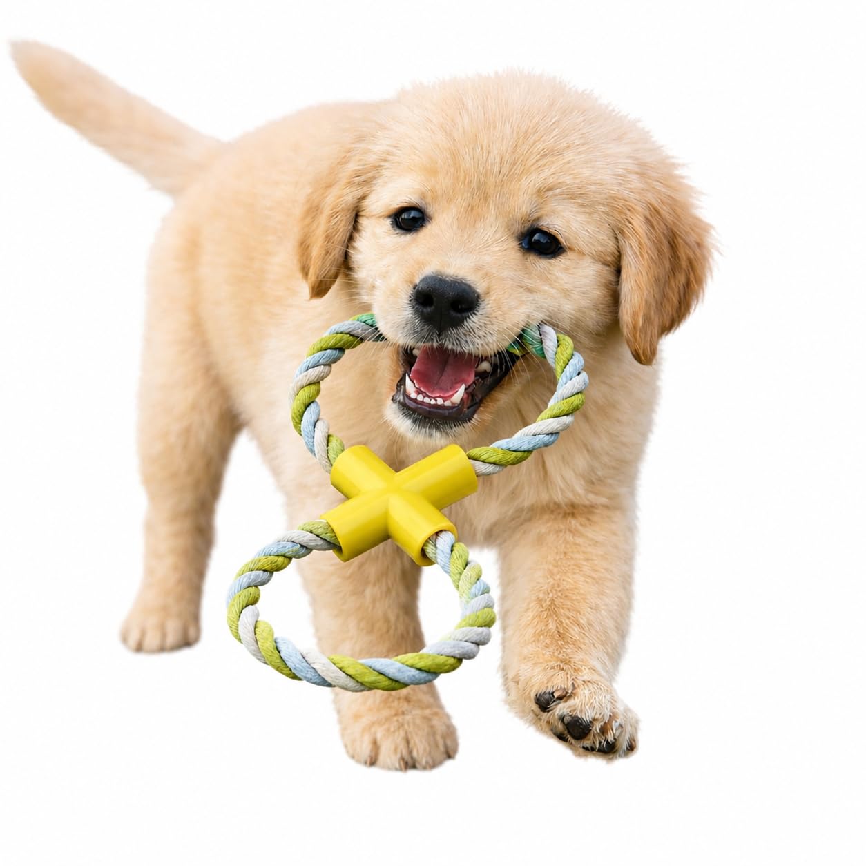 HugglePets Tiny Tails Figure 8 Rope Tugger Dog Toy | for Small Dogs and Puppies | 28cm Multi-Colour Interactive Teething Chew, Tug of War & Fetch Play | Gentle on Little Teeth for Safe Dental Care
