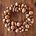 Oh! Nuts Mixed Nuts in Shell - Raw - 100% Natural - 3 lb - Jumbo-Sized Premium Shelled Nuts - Packed in New York Zip-Seal Bag for Exceptional Freshness