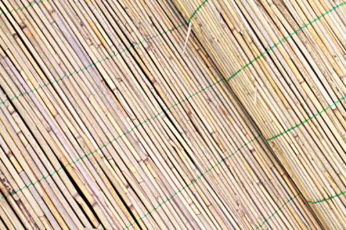artplants.de Sichtschutz Schilfrohrmatte Luca, naturfarben, 600cmx140cm - Schilfmatte/Sichtschutzzaun – Bild 5