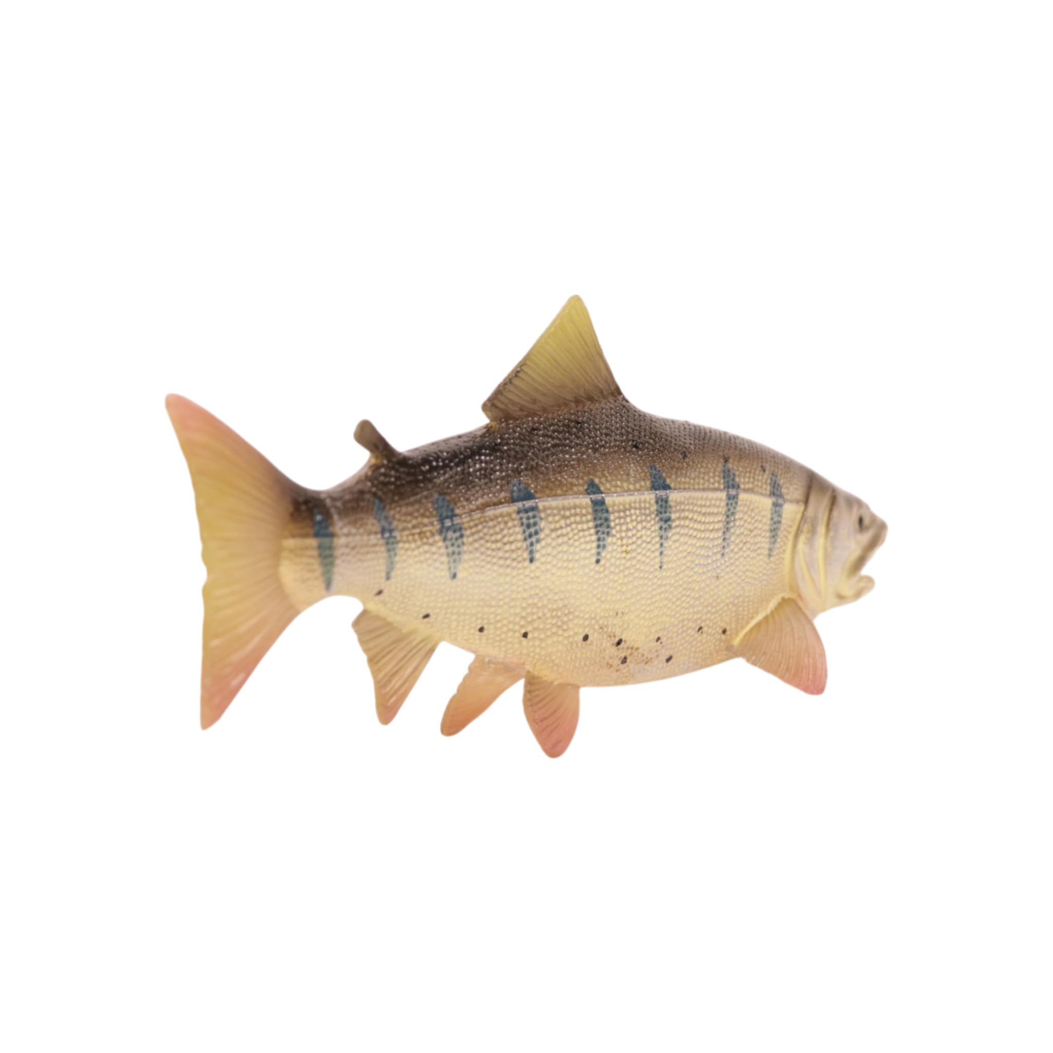 Amazon.co.jp: [猫神山] 山女魚 ヤマメ 川のサカナ 渓流 魚 フィギュア