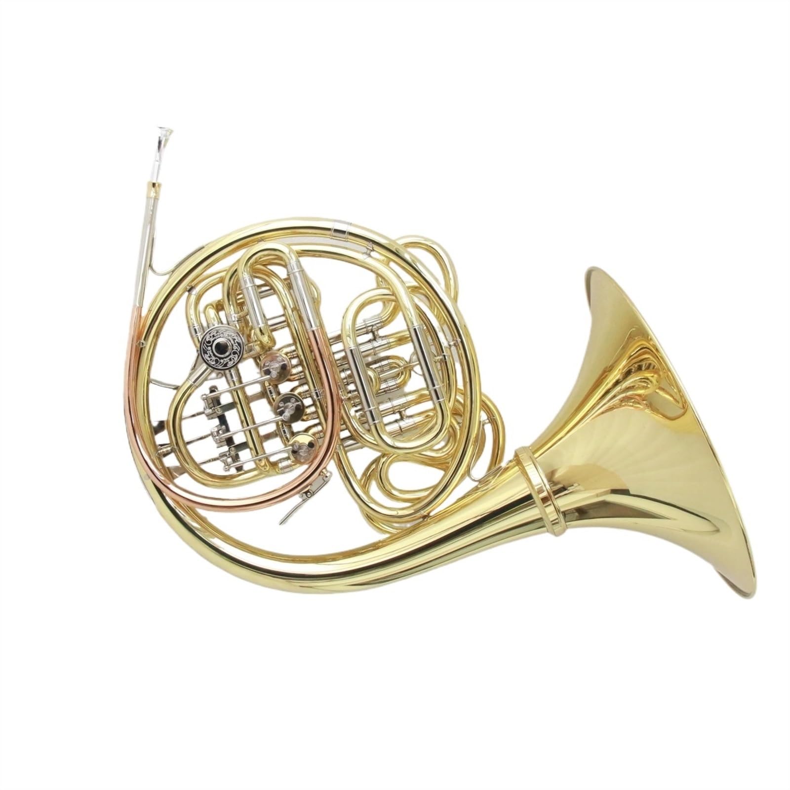 Amazon | 初心者 フレンチホルン プロフェッショナル ダブル フレンチ