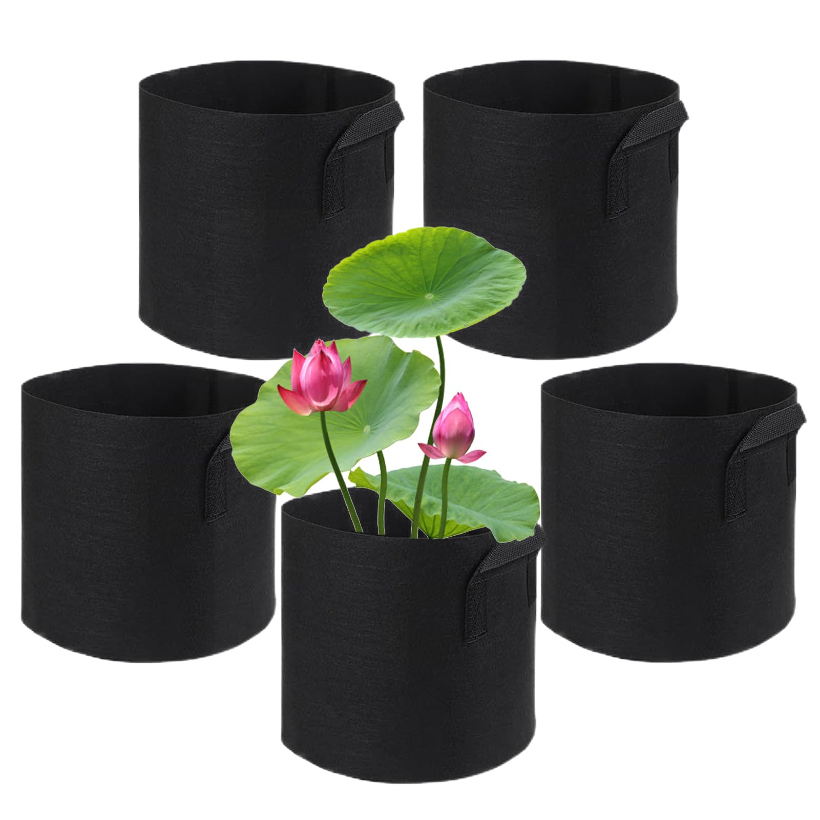 Cesta de plantas de estanque idónea para decorar terrazas con estanques y acuarios modernos
