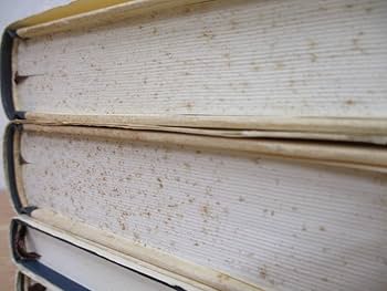 Amazon.co.jp: b5-2（イデーン）全5巻 全巻セット エトムント