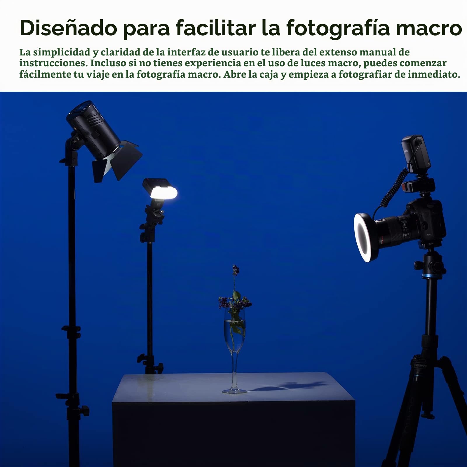 Godox ML150II Flash de Anillo Macro en la cámara Anillo de luz de Flash GN12 CCT 5800K ± 200K para Fuji, para Canon, para Nikon, para Sony, para cámara Olympus | CCT 5800K ± 200K para Fuji, para Canon, para Nikon, para Sony, para cámara Olympus