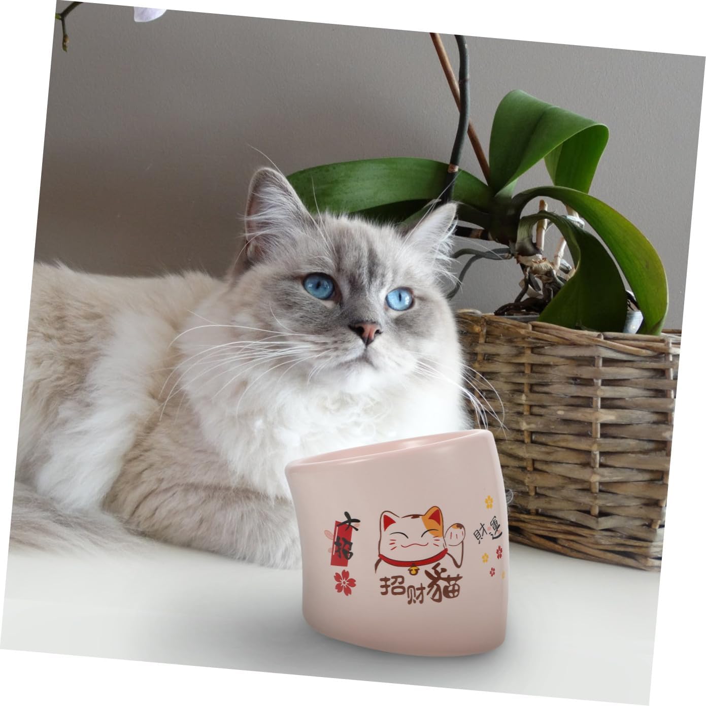 DECHOUS Ceramic Spill-Resistant Cat Bowl with Raised Base Pink High Footed Pet Cat Feeding Dish for Kittens