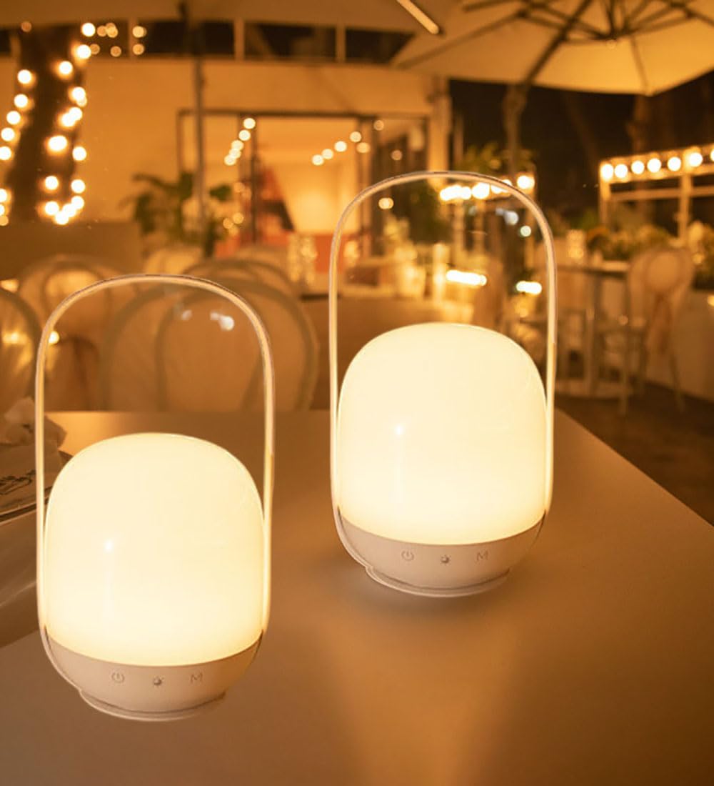 Lanterna da campeggio, 2 pezzi, lanterna portatile a LED per uso interno o esterno, lampada impermeabile con batterie incluse, per campeggio, escursioni, escursioni o interruzioni di corrente, 4