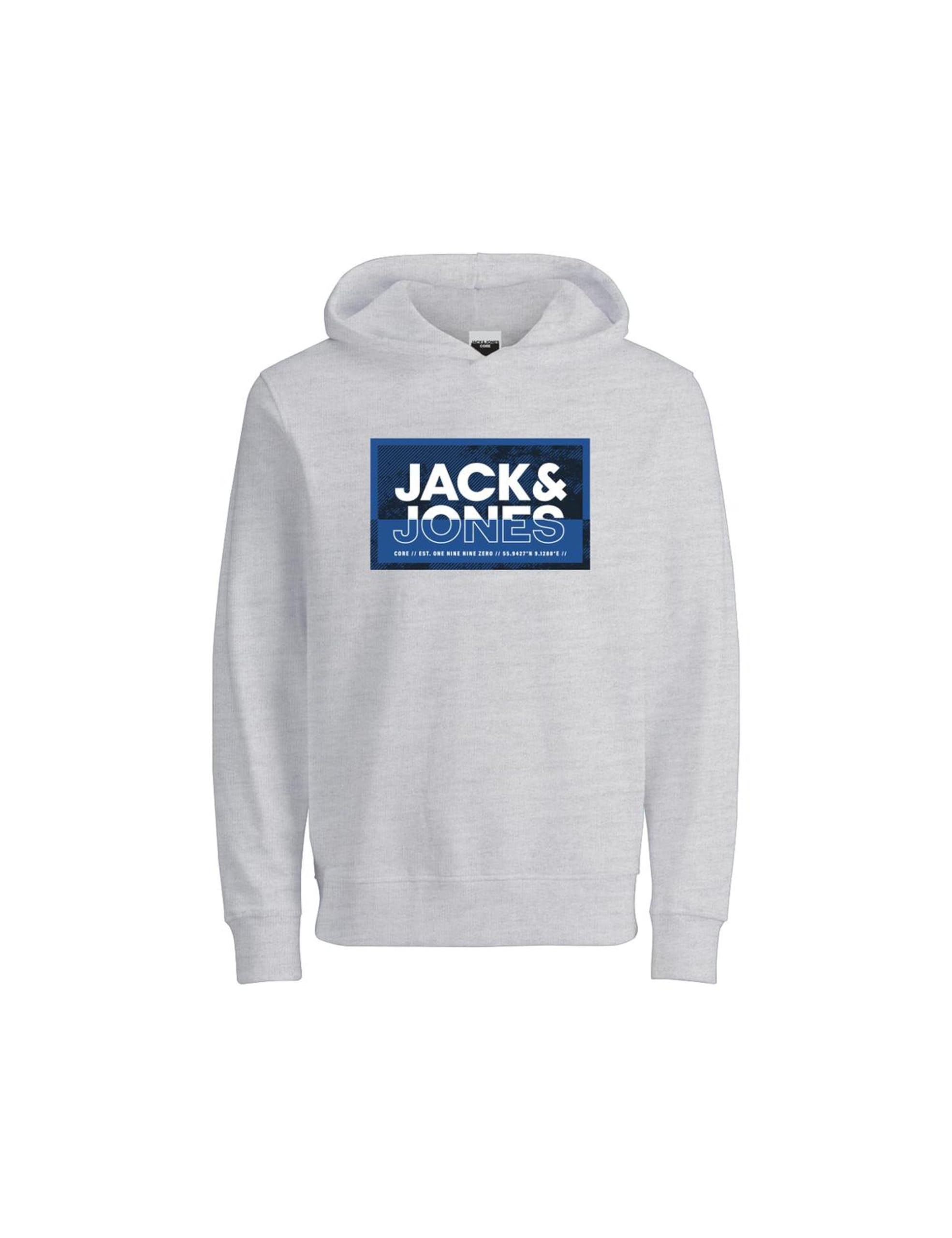 Jack & Jones Jcologan Print Sweat Hood Sn Mni