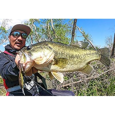JACKALL Jackal Spin Vido 70 SP SPINVIDO