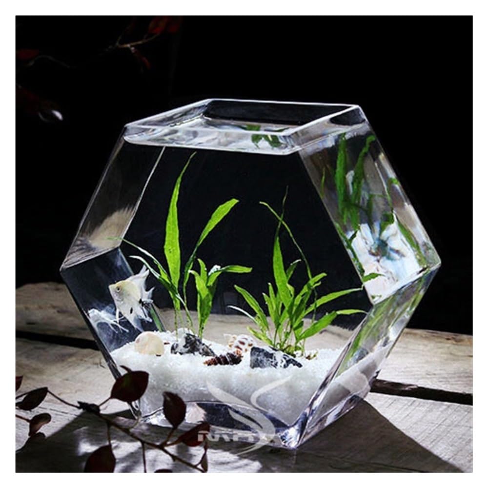 Acquario Acquario in vetro esagonale trasparente da tavolo, dimensioni grandi, for combattere, arredamento ecologico for la casa(S)