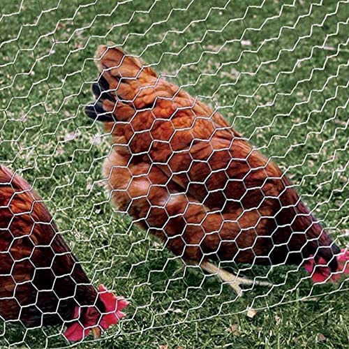 Qlvily Chicken Wire 13.7" X 393.7" Poultry Wire Netting, Hexagonal Galvanized Mesh Garden Fence Barrier, Pet/Rabbit/Chicken Wire Fencing, With 100 Pcs Cable Zip Ties #TOP5