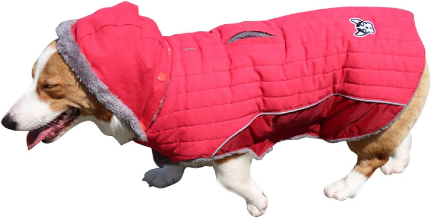 新色追加 暖かい犬の服 予約販売品