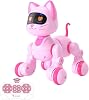Toy 30 Function Remote Control Rechargeable Audio Light Touch Detection Programming Robot Cat and Dog cat