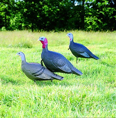 Flambeau Turkey Love Triangle Set Decoy