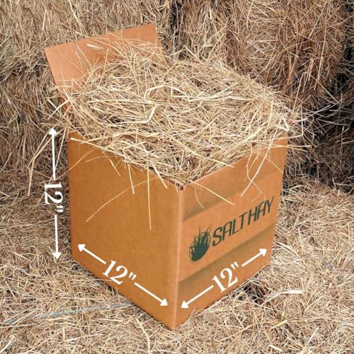 Organic Salt Hay Mulch for Vegetable Gardens | Clean & Sustainable | Weed-Seed-Free | Insulates & Retains Moisture for Plants & New Grass Overseeding | SM Box (12'x12'x12') | 125 Sq. Ft. Coverage