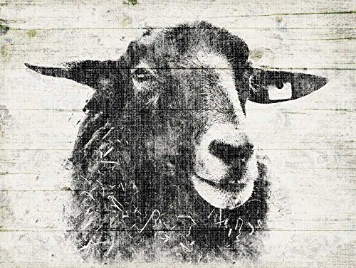 Toile mouton vintage Jace Grey tableau animaux paysage encadré