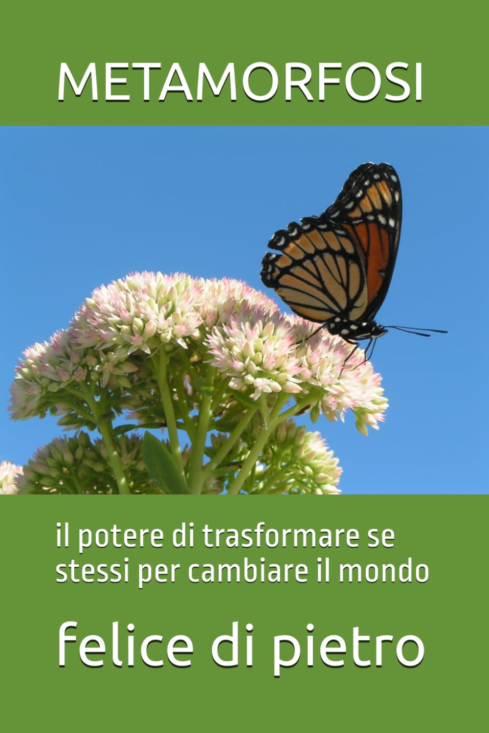 METAMORFOSI: il potere di trasformare se stessi per cambiare il mondo