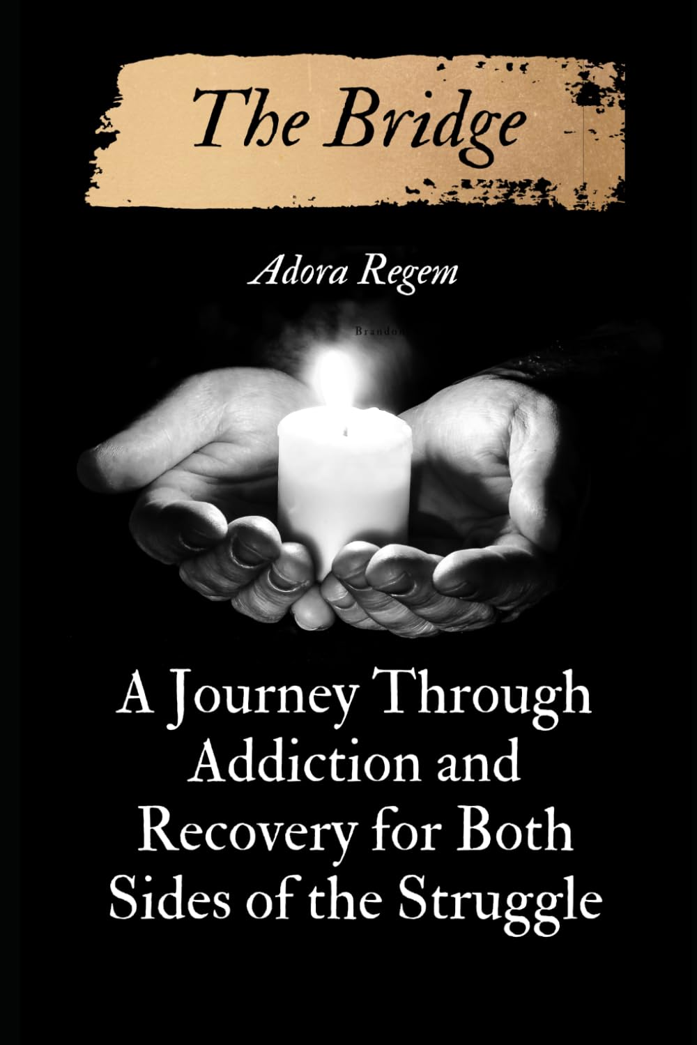 The Bridge: A Journey Through Addiction and Recovery for Both Sides of the Struggle