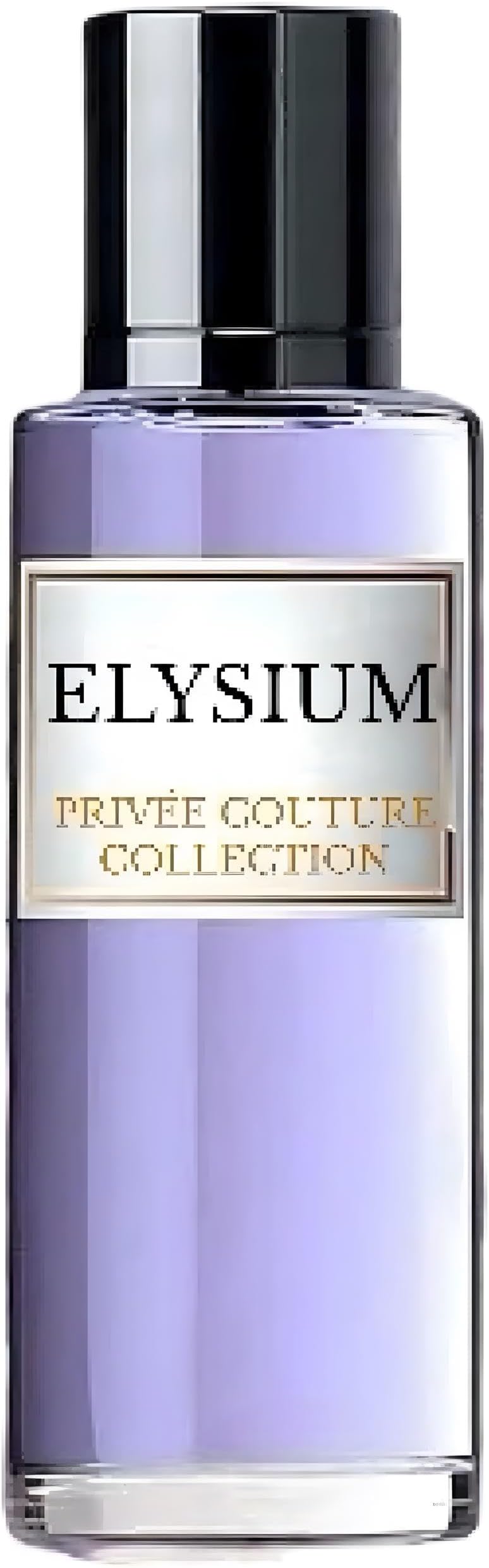 ODORZROJA ELYSIUM - Eau De Parfum | Long Lasting Perfumes For Men - Privee Couture Collection | High Concentration 30 ML perfume For Women | By Latafa Perfumes