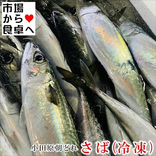 ノーブランド品 さば(冷凍)2kg の商品画像 2