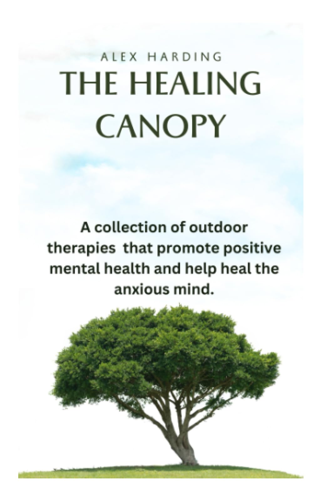 THE HEALING CANOPY: A collection of therapeutic outdoor activities that promote positive mental health and help heal the anxious mind