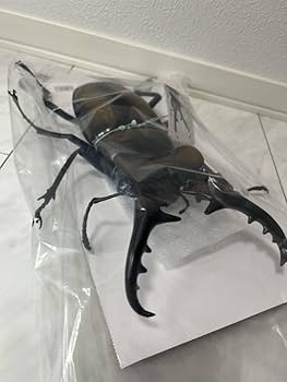 Amazon.co.jp: ミヤマクワガタ 巨大昆虫 MEGAフィギュア Amazon.co.jp: ミヤマクワガタ 巨大昆虫 MEGAフィギュア