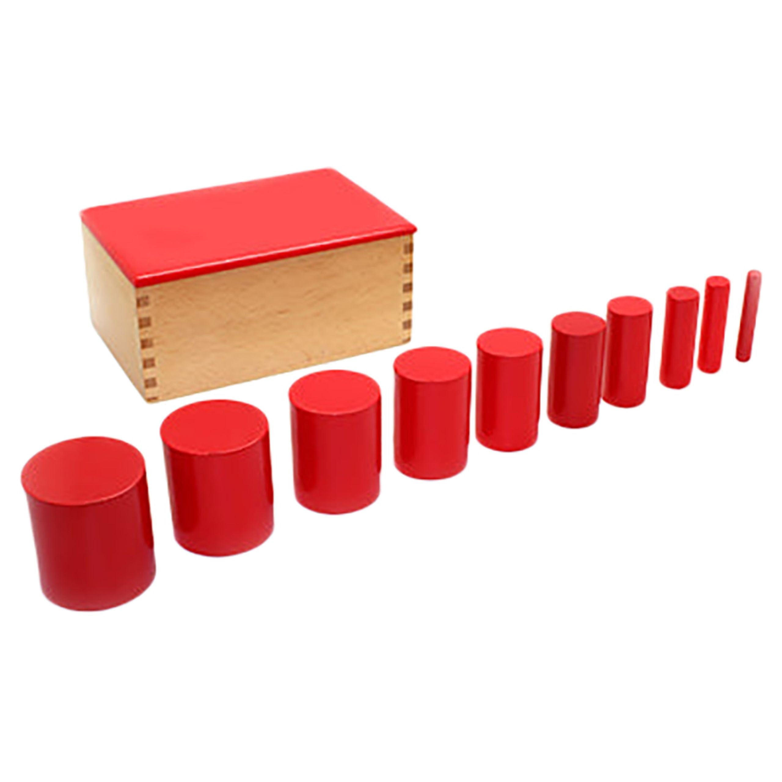 Edu-FunModel 2 Knobbles Cylinder