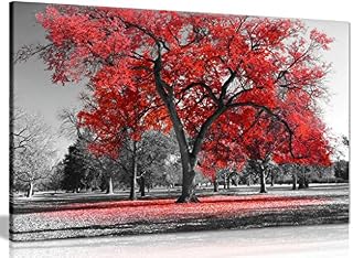 Large Tree Red Leaves Black White Nature Canvas Wall Art Picture Print (18x12in)