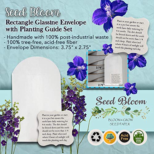 Seed Bloom 24-Piece Set Handmade Bloom & Grow Seed Paper Wildflower Seeds Embedded Recycled Seeded Paper Gift Tags Gift Cards Stationery & Gift Wrapping Supplies (Butterfly, Envelope & Planting Guide) #TOP3