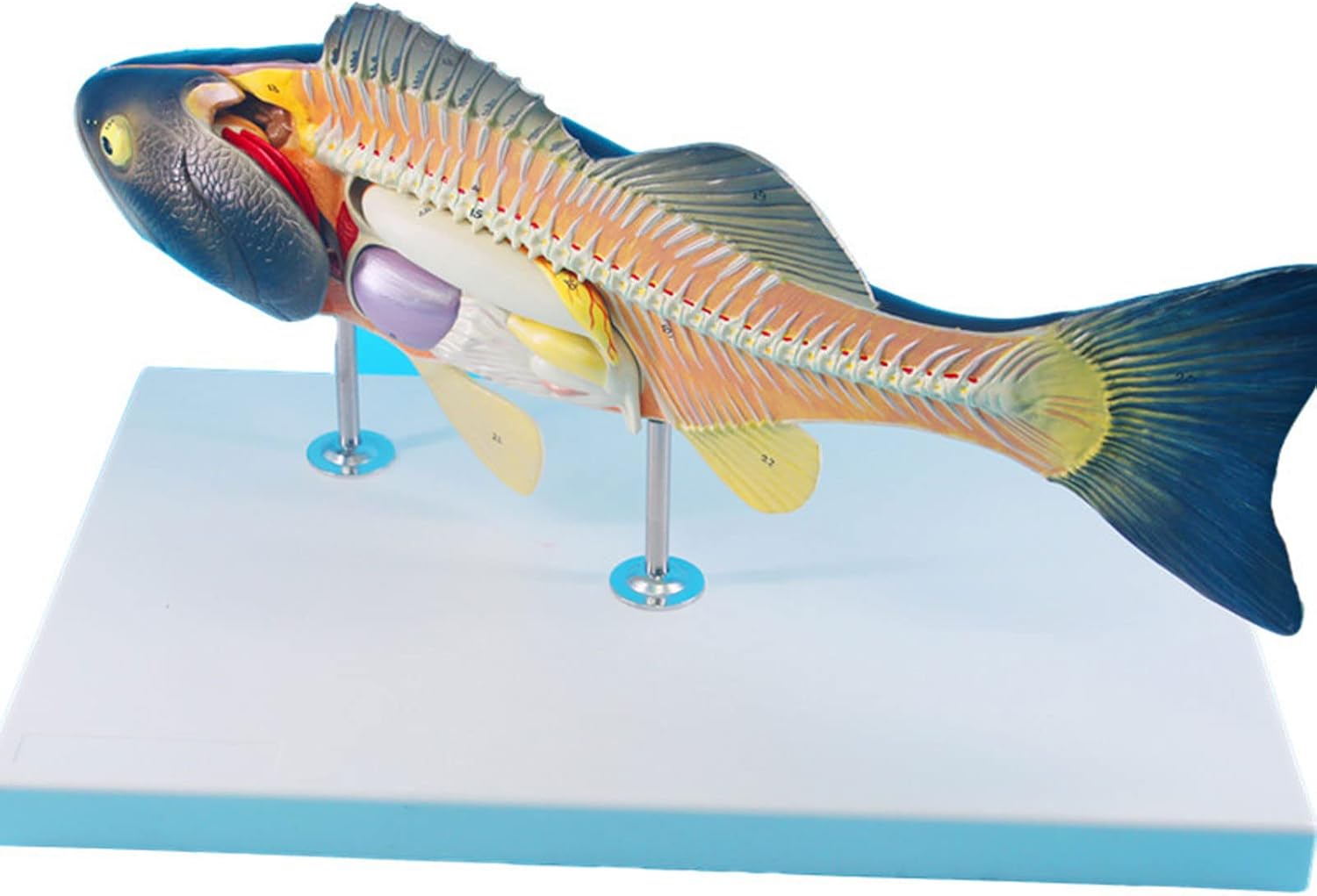 アクア・スナイパー PSA9